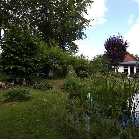 Ferienhaus Wildblick Schleiden Esterno foto